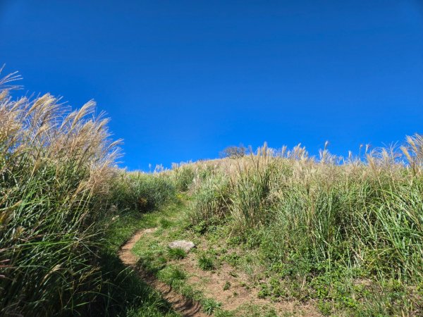 大屯主峰-連峰步道環形（小百岳）2904357