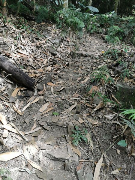 步道巡訪員 l 鳥嘴山步道10月巡訪日誌1139537