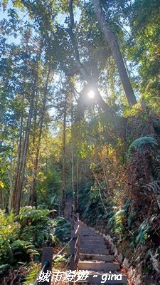 【南投魚池】後尖山步道2968301