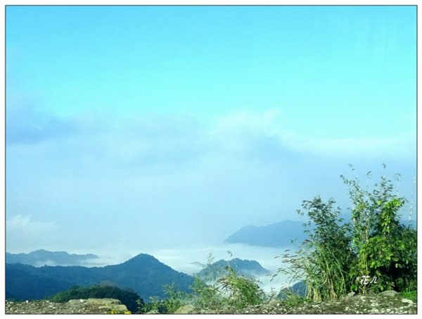 奮起湖大凍山(小百岳)1614075