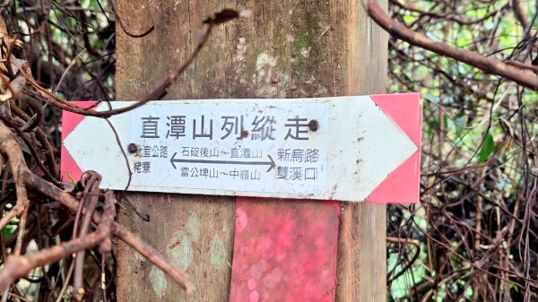 2025元旦山行 新店直潭山、二龍山O型2784970