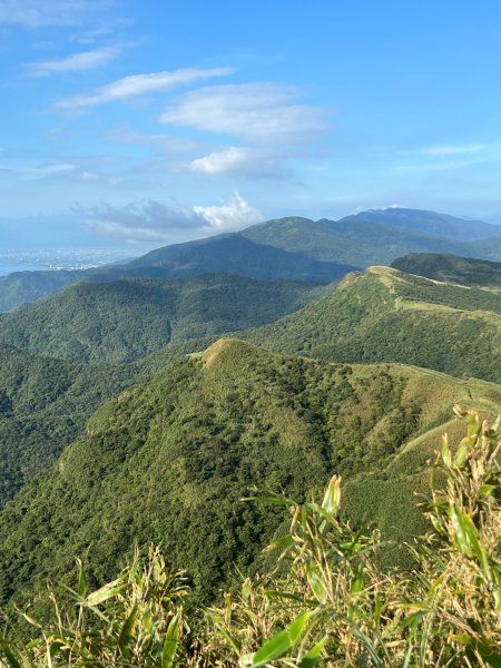 小百岳-灣坑頭山2637698