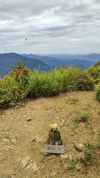 2025/6/14 橫龍山2839243