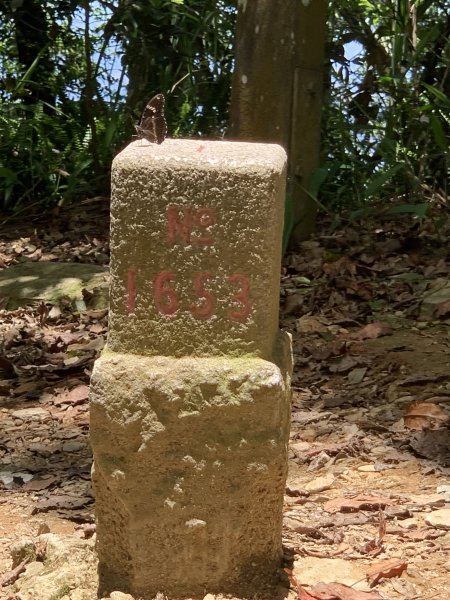 20260704高雄尾寮山-尾寮山西北峰(第26刷)3084690