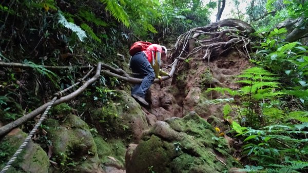 蘭嶼紅頭山及大小天池之行品味山海原始之美1065774