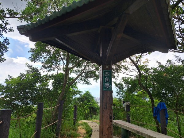 高雄觀音山步道3124207
