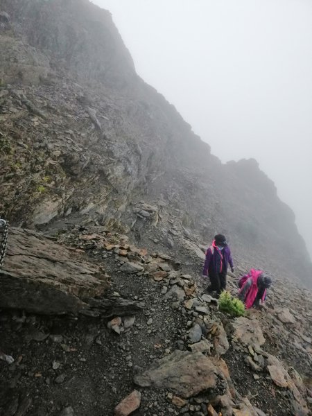 站上台灣之巔不只是感動而已。百岳~玉山738833