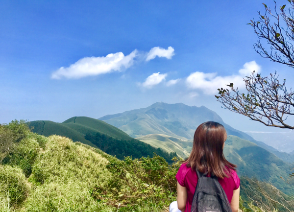 劍竹林海，小觀音山（西峰、北峰、主峰）168176