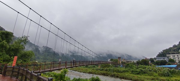 2025/05/25_茶園坪山2796566