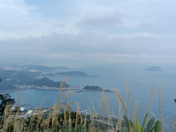 瑞芳區基隆山步道O型3010162