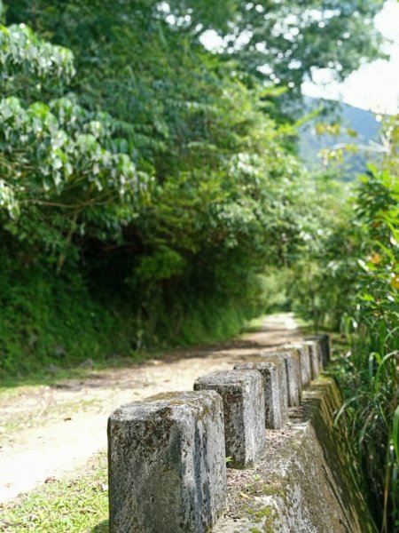 步道巡訪員 l 佐倉步道5月巡訪日誌949867