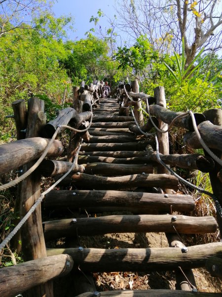 台中北屯~相思圓木棧道練腳力大坑二號步道883329