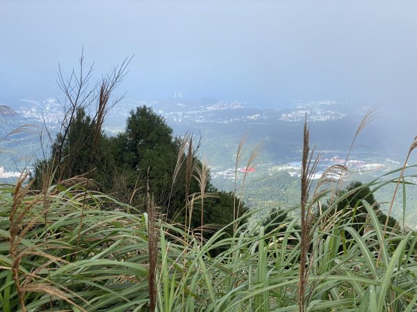 2023/12/14 碇內尖山 龍門山 五分山 淡蘭古道中路2399823