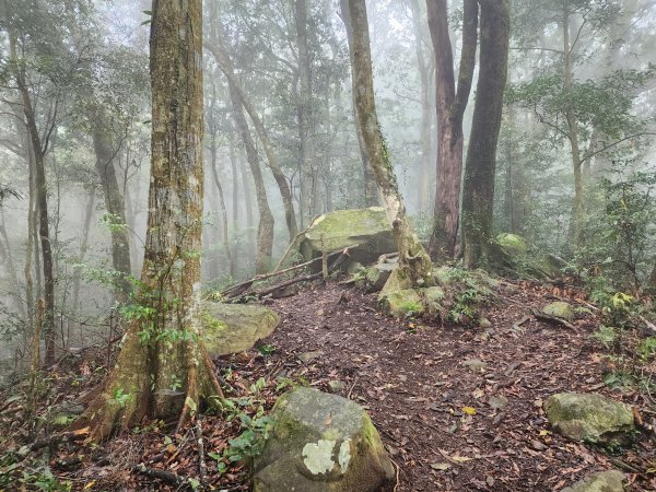 20230409那羅山、煤源山、大混山、道下山O型2141989