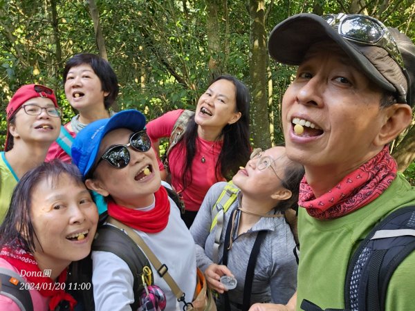 東勢大崙、東勢坑山、觀音湖山O走2986224