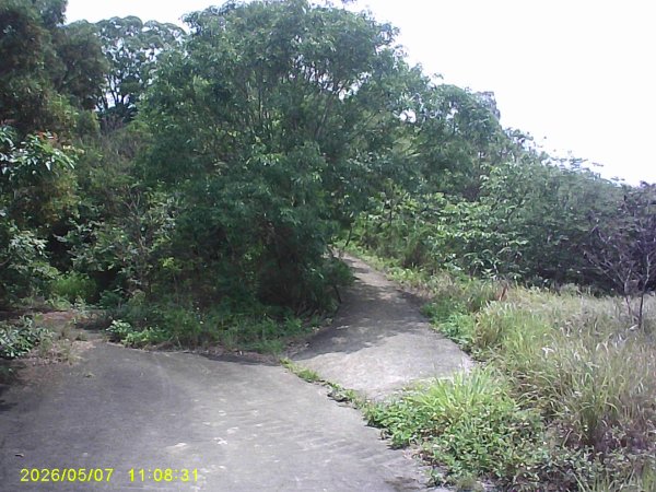 苗栗頭份「鹿廚坑步道」健走，順道拜訪濫坑山、鹿廚坑山、中央尖！3079123
