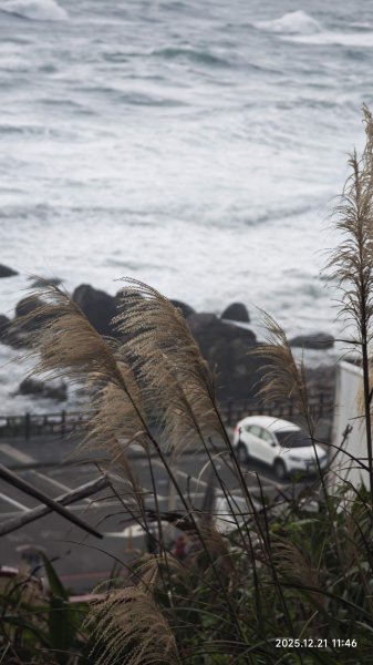 2025-1221 情人湖-石山-老鷹岩-大武崙砲台-外木山國旗嶺-濱海步道-海興步道-情人湖2966873