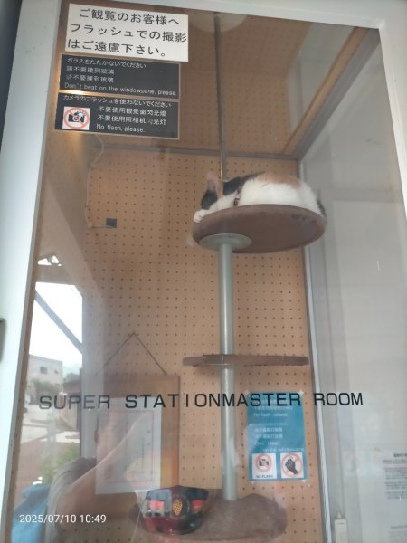 和歌縣-小玉電車(貴志）2833509