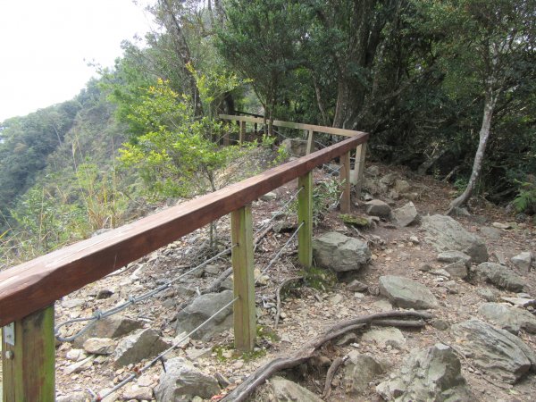 20200321-白毛山886574