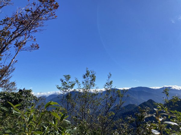 114.11.16 北得拉曼追黃金山毛櫸2937926