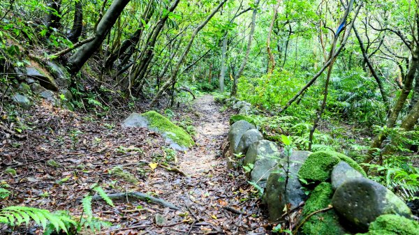 石笋古道,焿子寮古道,松子嶺古道2798355