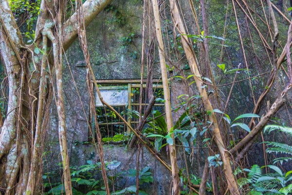 [新北]白雞山與裕峰煤礦遺址2891859