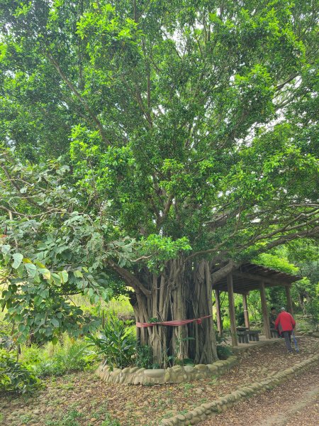 竹坑南寮登山步道~舒服山景2759634