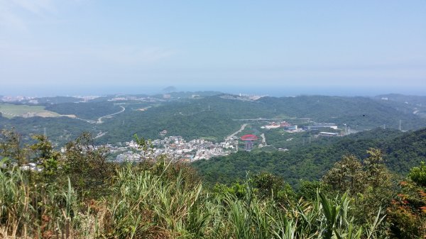 新北_粗坑口周邊山徑O形2281050