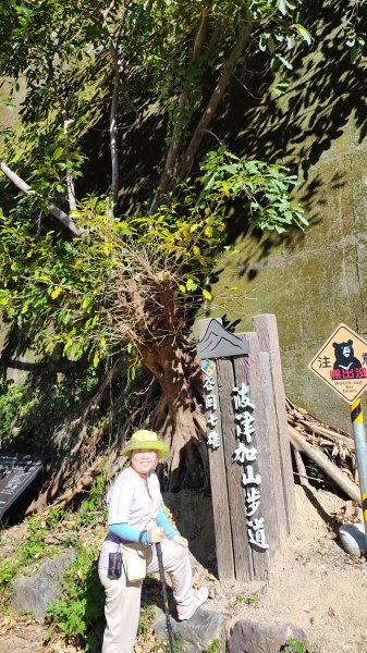 谷關休閒走2897457