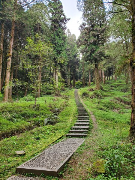 阿里山大塔山899531