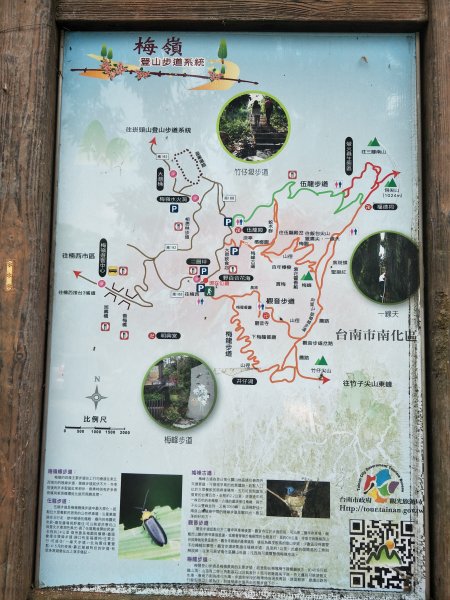 2019 11 14 竹子尖山步道735157