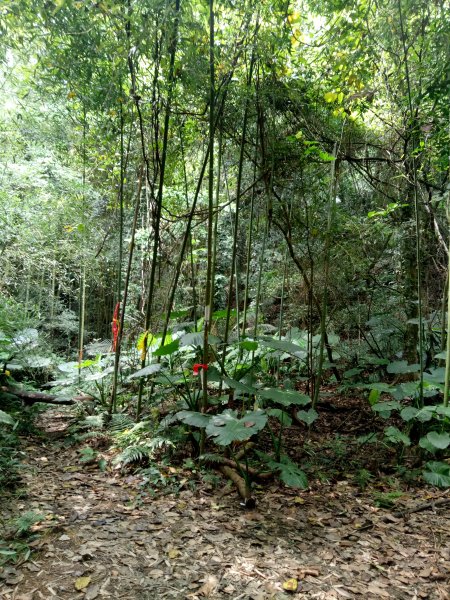 金童山、玉女山、汶水山連走1848030