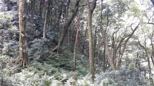 拉卡山, 東眼山, 東滿步道, 滿月圓山, 熊空南山