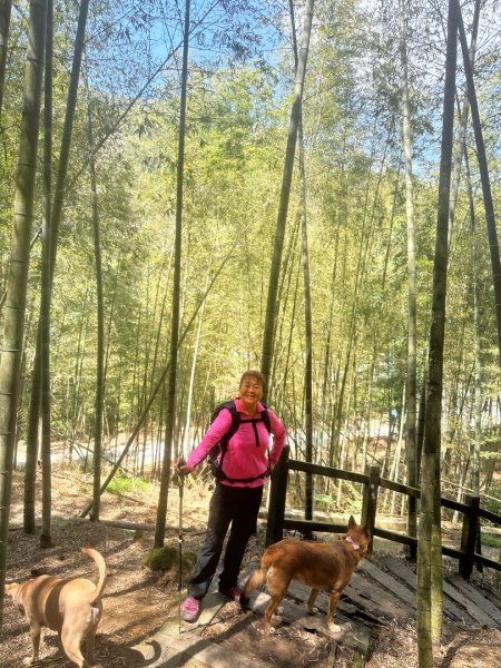 嘉南雲峰、九穹神木3014477