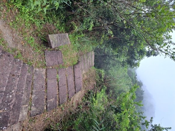 新北桃源谷步道（大溪線）3106364