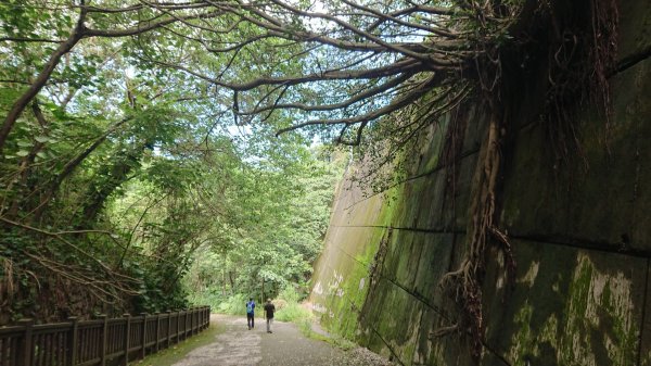 茶香步道～田中森林公園980901