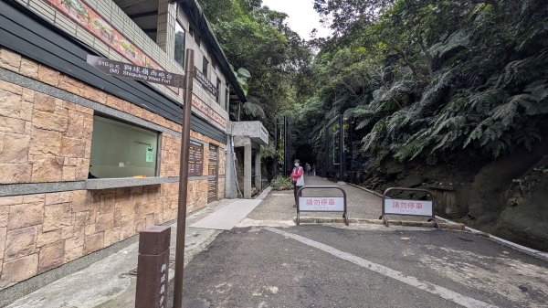 114.12.20劉銘傳隧道-獅球嶺北峰-獅球嶺東砲台山-獅球嶺池-獅球嶺砲台山之旅2966679