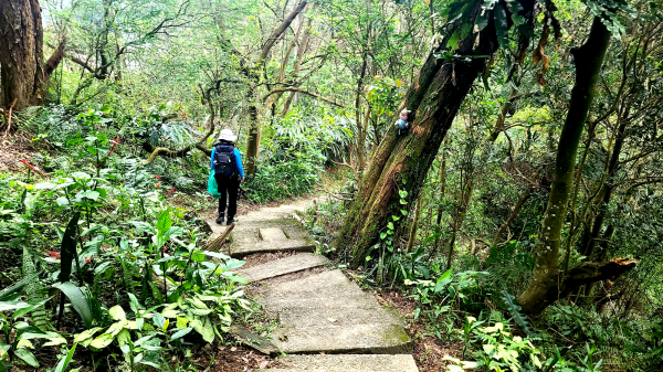 2025-0104 造鎮_五城山_天上山_三粒半_火焰山_慈惠堂_土城大潤發2682117