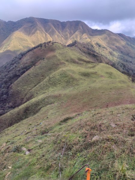 渭水之丘 烘爐地山 抹茶山 三角崙山2938791