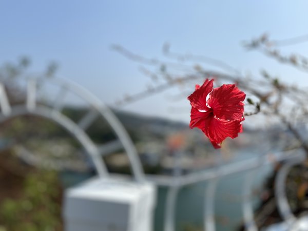 【高雄】約翰湯姆生打狗行腳(登台150周年紀念)