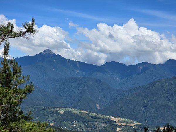 志佳陽大山（回程走高繞環山獵人登山步道）2542146