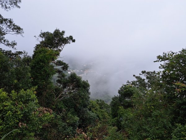 2026樟之細路：渡南，飛鳳,騎龍，茶亭，石山艮，獅山古道3115575