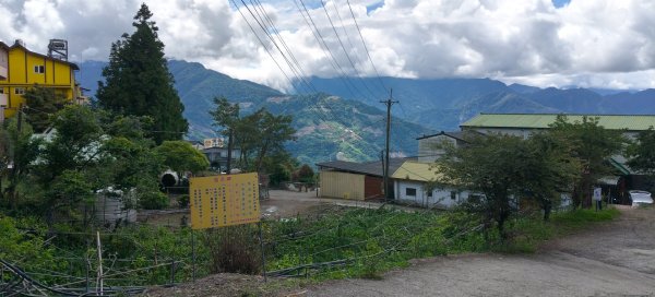 立鷹山森林步道3056149