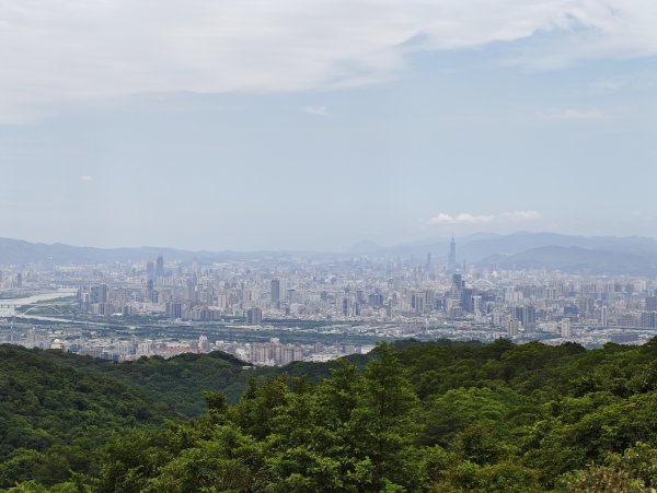 [微笑山線_第一段] 2026_0725 大棟山系_大同山3101742