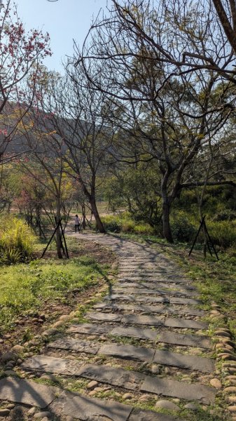 竹坑南寮登山步道2719368