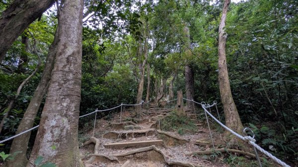 飛鳳山步道3118569