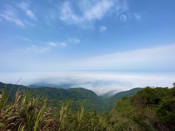 騰龍山頂賞雲海1316283