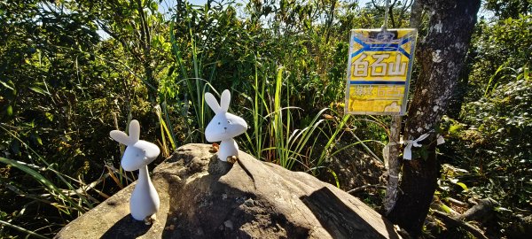 2025/08/23_白石山步道+石龜坑山O型2871077