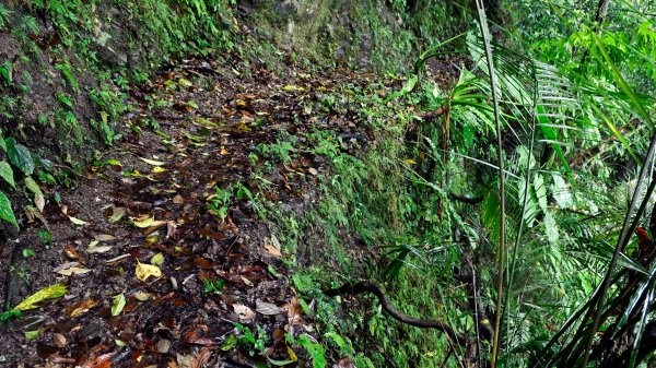 淡蘭古道中路（闊瀨崩山坑環線）989163