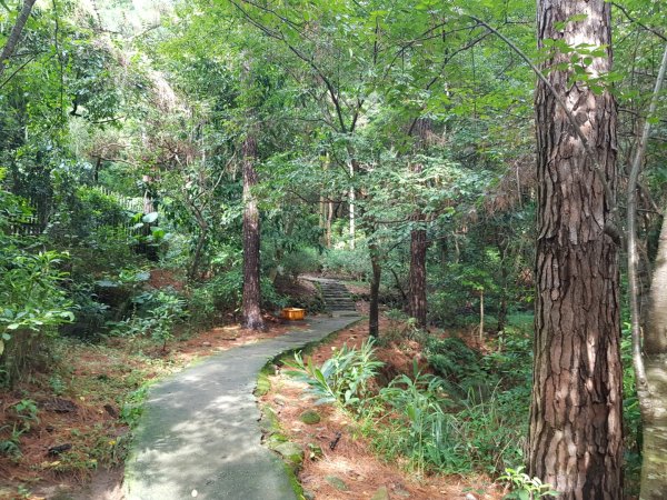 忠義山親山步道1082104